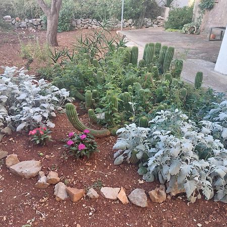 Apartment Bozava - Nena المظهر الخارجي الصورة