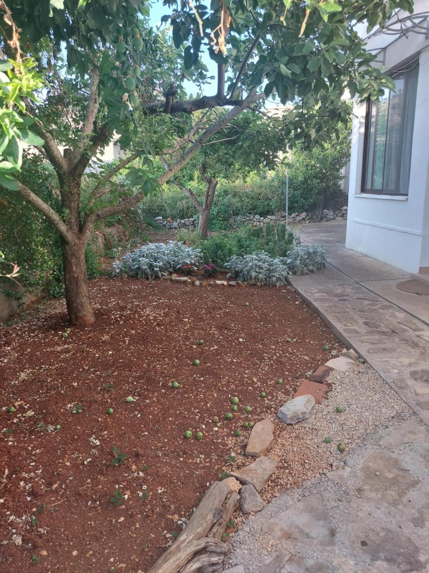 Apartment Bozava - Nena المظهر الخارجي الصورة