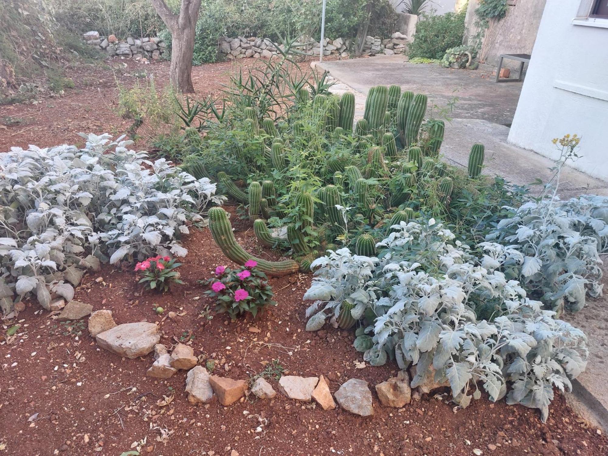 Apartment Bozava - Nena المظهر الخارجي الصورة